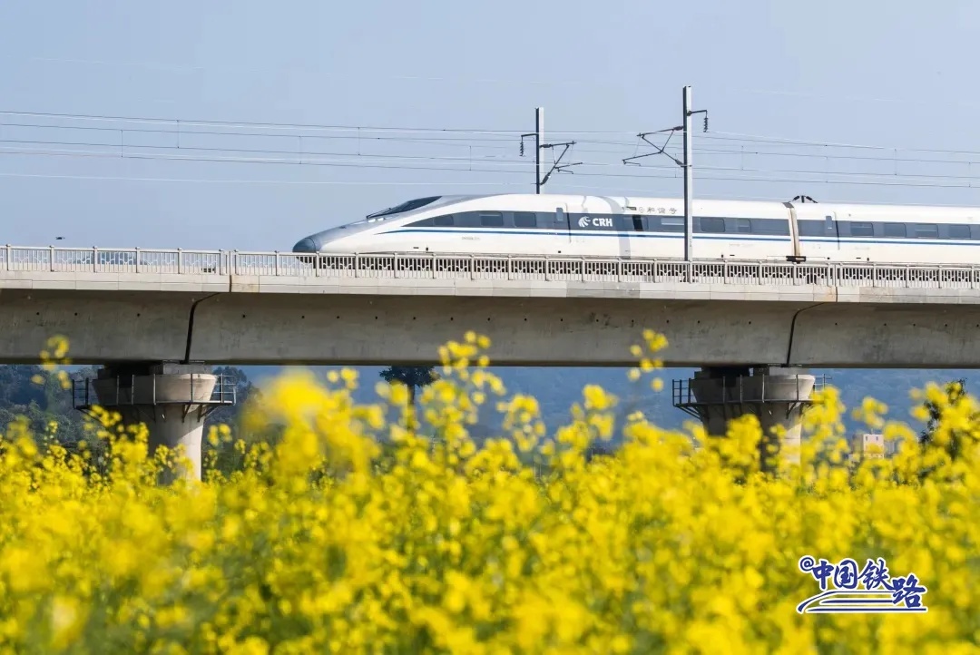 贛深高速列車が深セン市の光明歓楽田園地帯を走る様子。（撮影・李文豪）