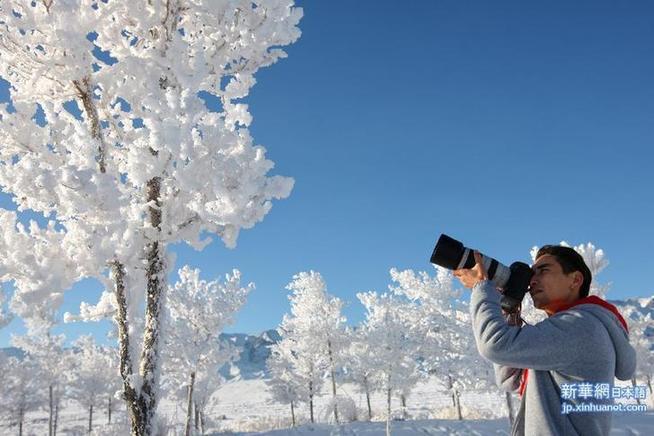 #（晚报）（3）雪后天山美如画